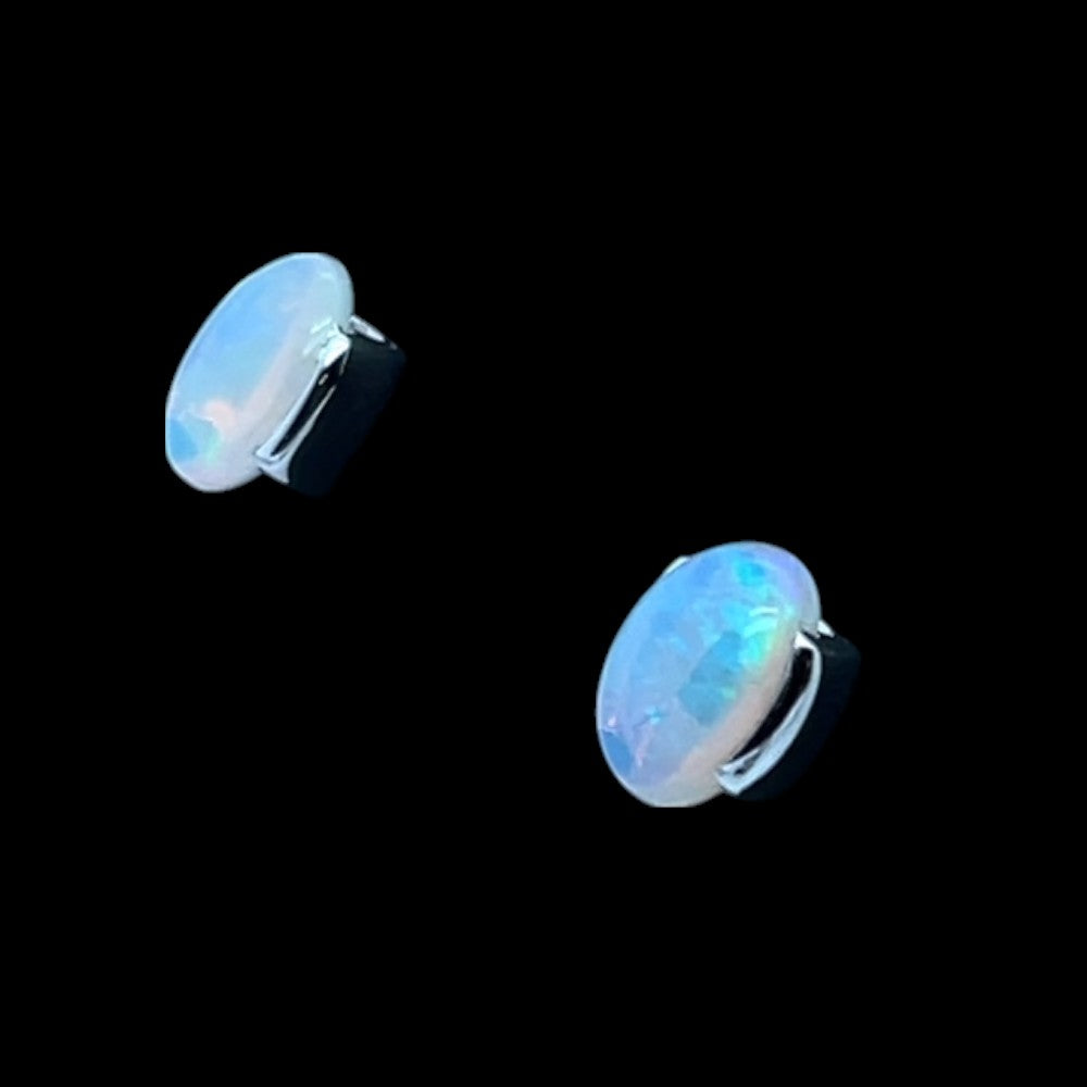 14ct White Gold Solid Opal Earrings (se812) 14ct White Gold Solid Opal Earrings (se812)