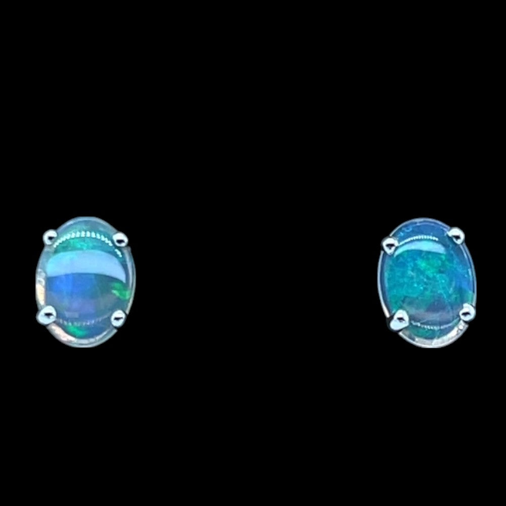 14ct White Gold Solid Opal Earrings (se815) 14ct White Gold Solid Opal Earrings (se815)