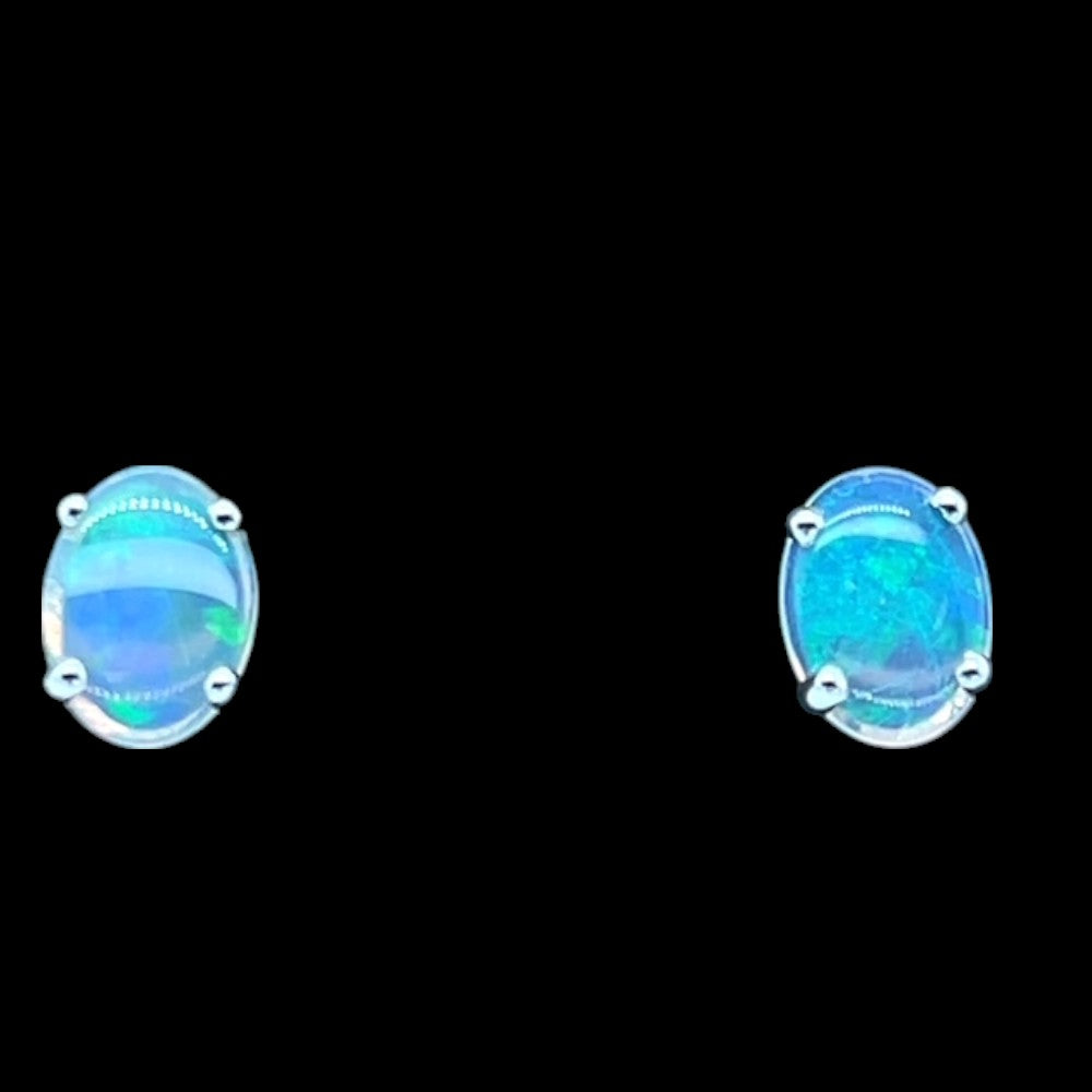 14ct White Gold Solid Opal Earrings (se815) 14ct White Gold Solid Opal Earrings (se815)