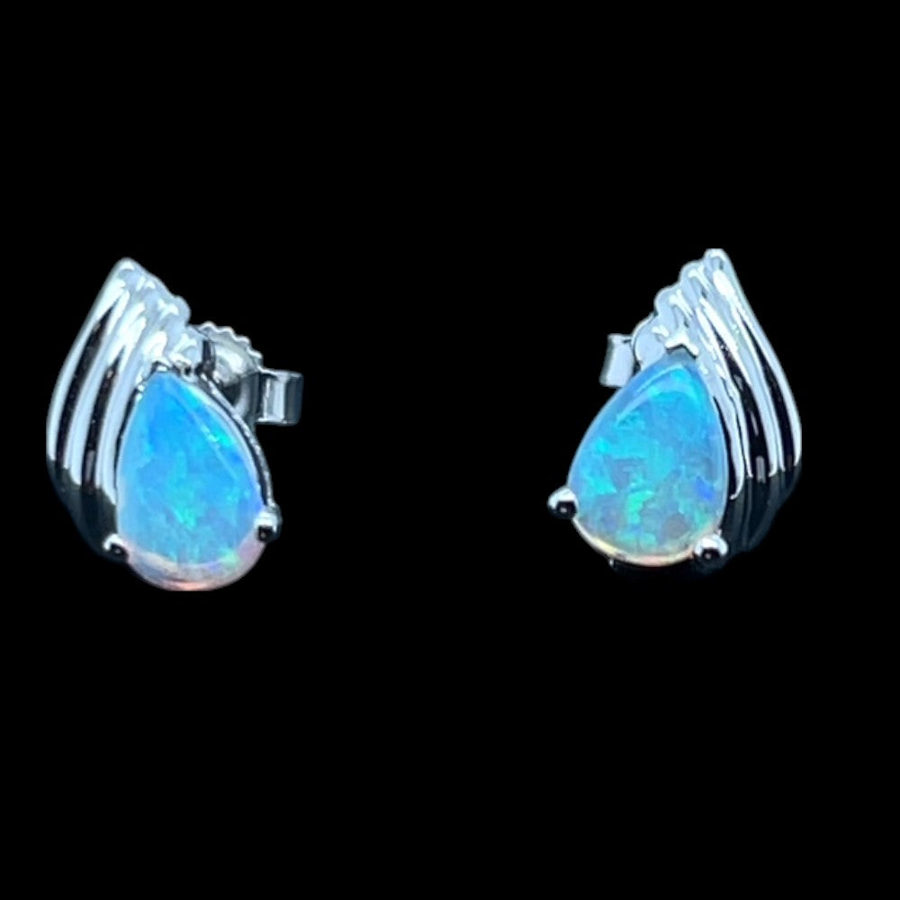 14ct White Gold Solid Opal Earrings (se811) 14ct White Gold Solid Opal Earrings (se811)
