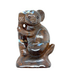 Boulder Opal Koala (koala)