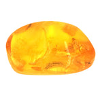 Amber from the Baltic with insects ( amb3)