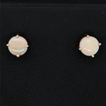 9ct Gold Solid Opal Earrings (sear1)
