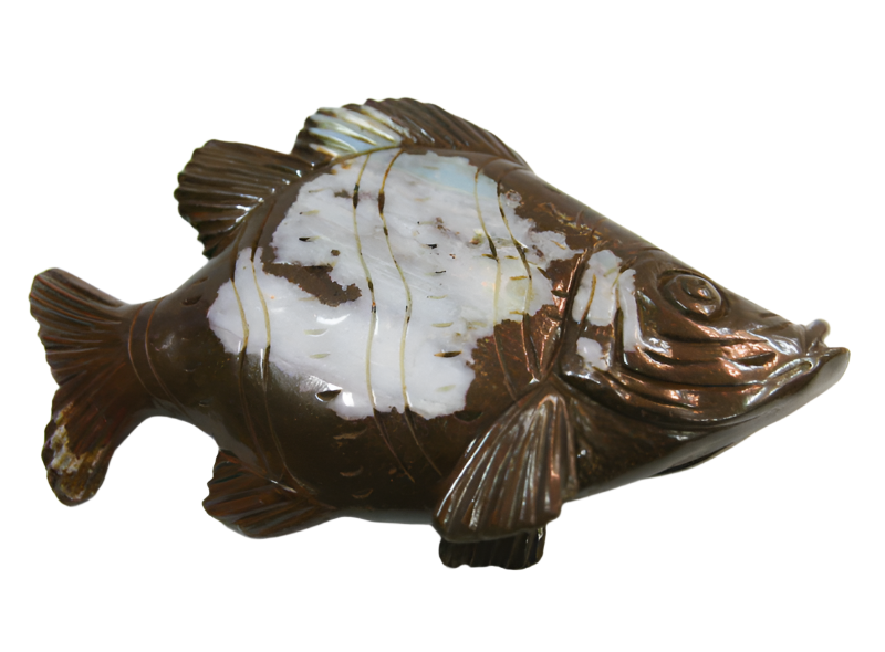 Boulder opal fish