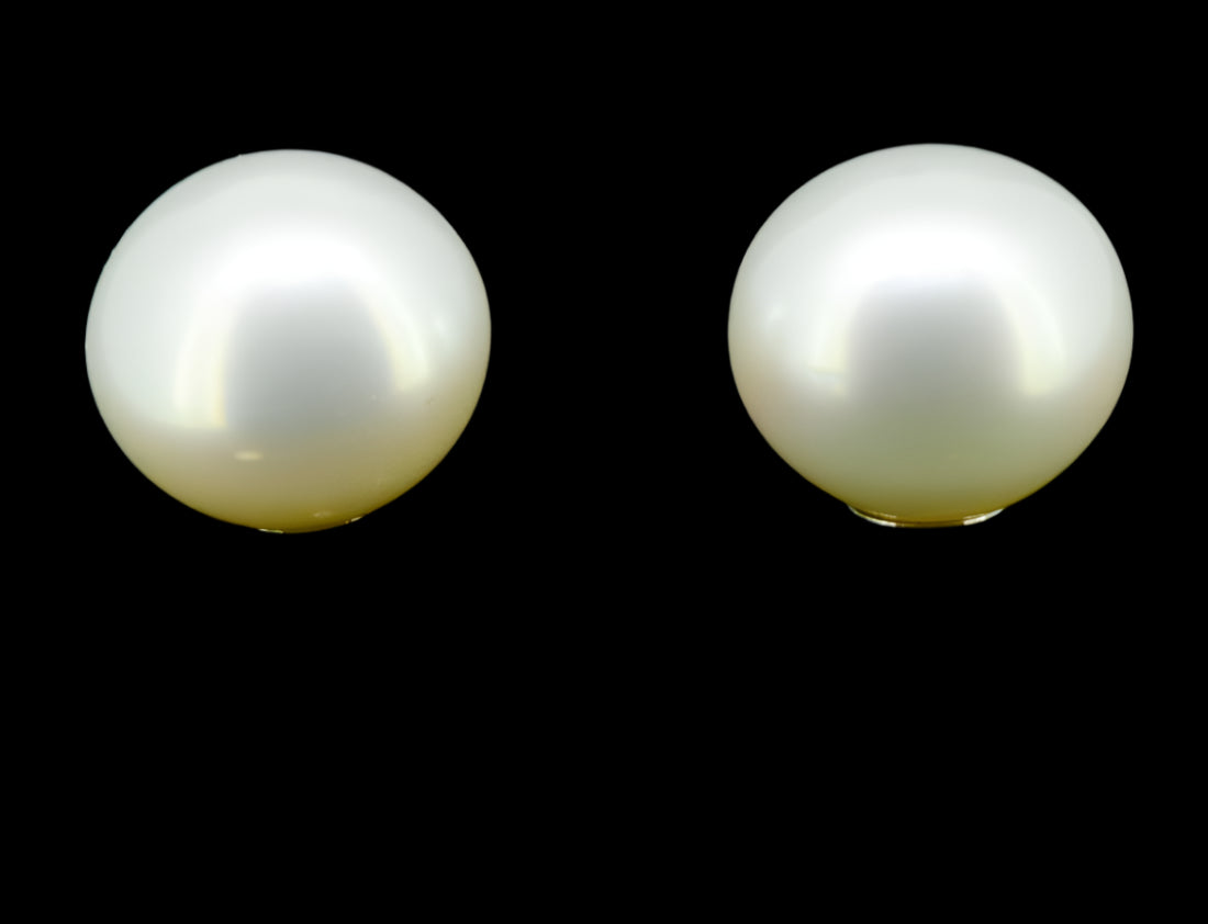 9ct yellow gold south sea pearl earrings (PE6412)