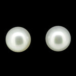 9ct yellow gold south sea pearl earrings (PE6412)