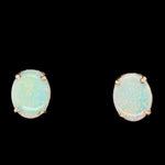 14ct Gold Solid Opal Earrings (se417)