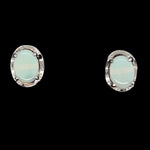 Sterling Silver Solid Opal Earrings (ssse42)