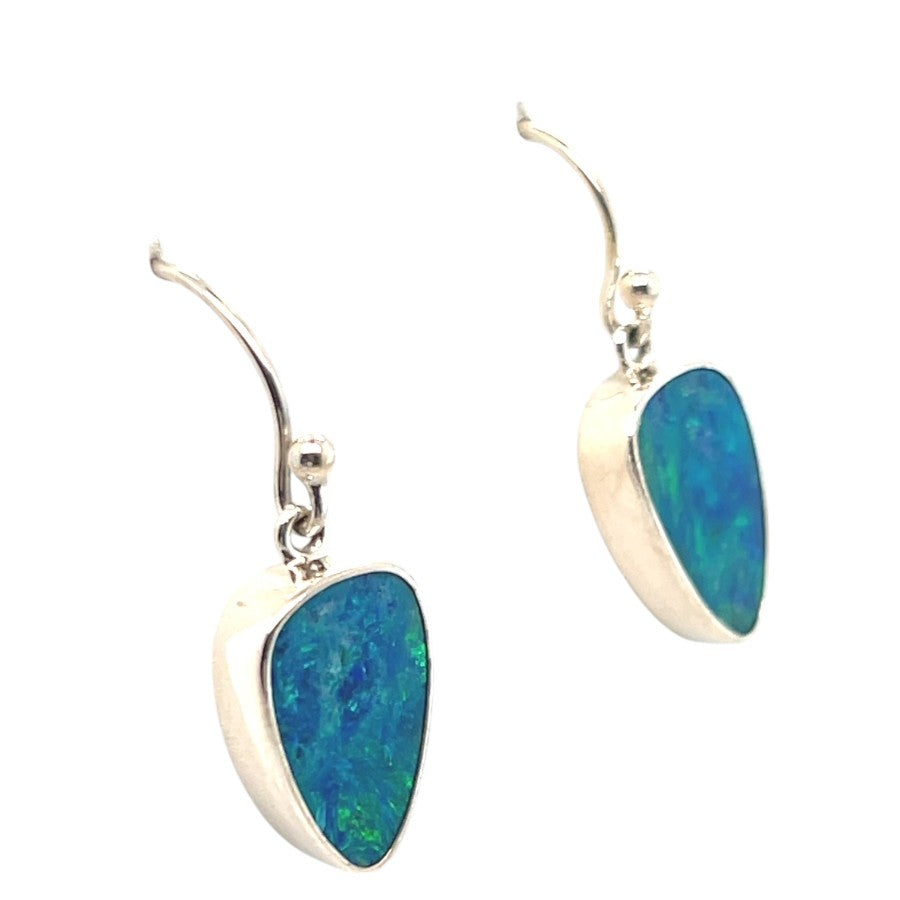 Sterling Silver Free Form Earrings (ssde5252)