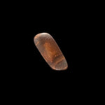 Solid Boulder Opal 1.27ct (bo101)