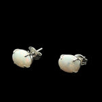 Sterling Silver Solid Opal Earrings (ssse98)