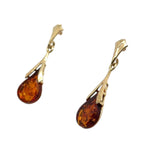 9ct Gold Amber Earrings (ambe98)