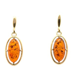 9ct Gold Amber Earrings (ambe99)