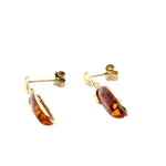 9ct Gold Amber Earrings (ambe97)