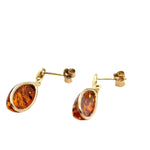 9ct Gold Amber Earrings (ambe97)