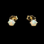 14ct Gold Solid Opal Earrings (se816)