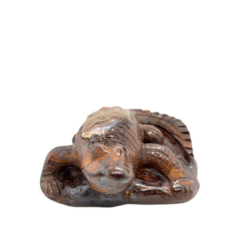 Boulder Opal Crocodile (crocodile)