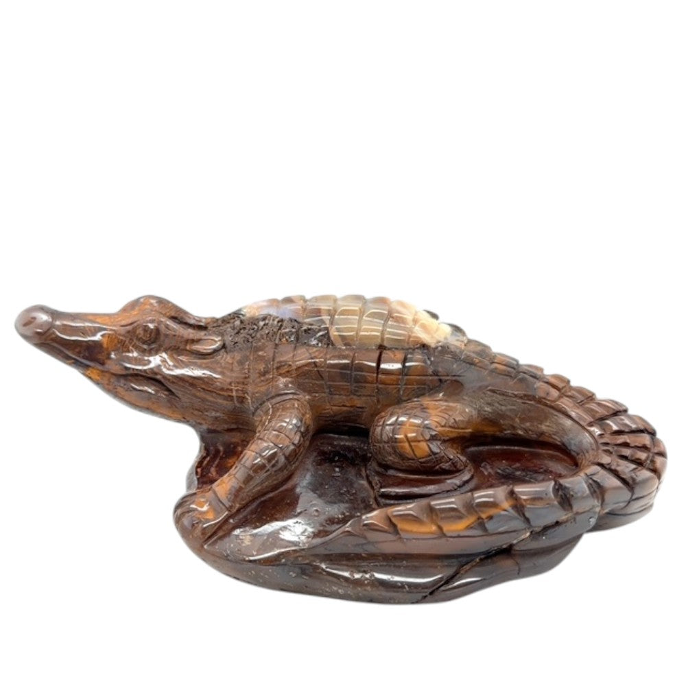 Boulder Opal Crocodile (crocodile)
