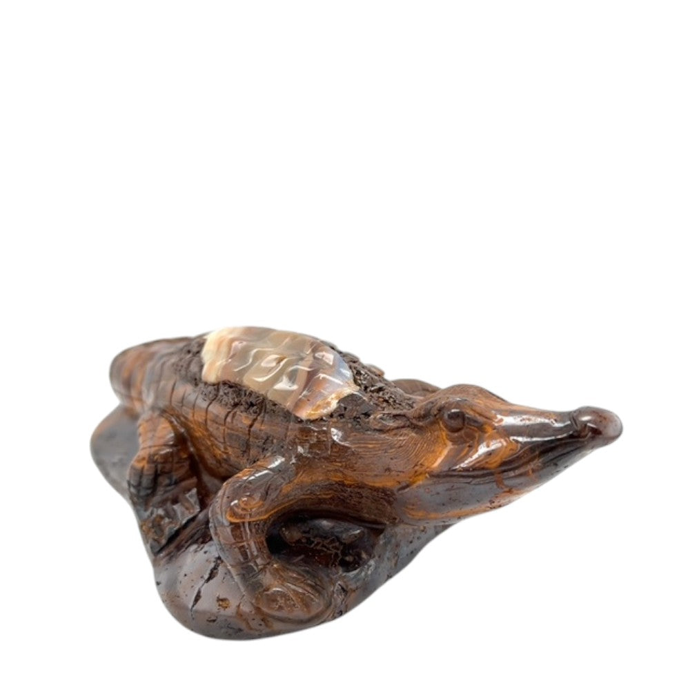 Boulder Opal Crocodile (crocodile)