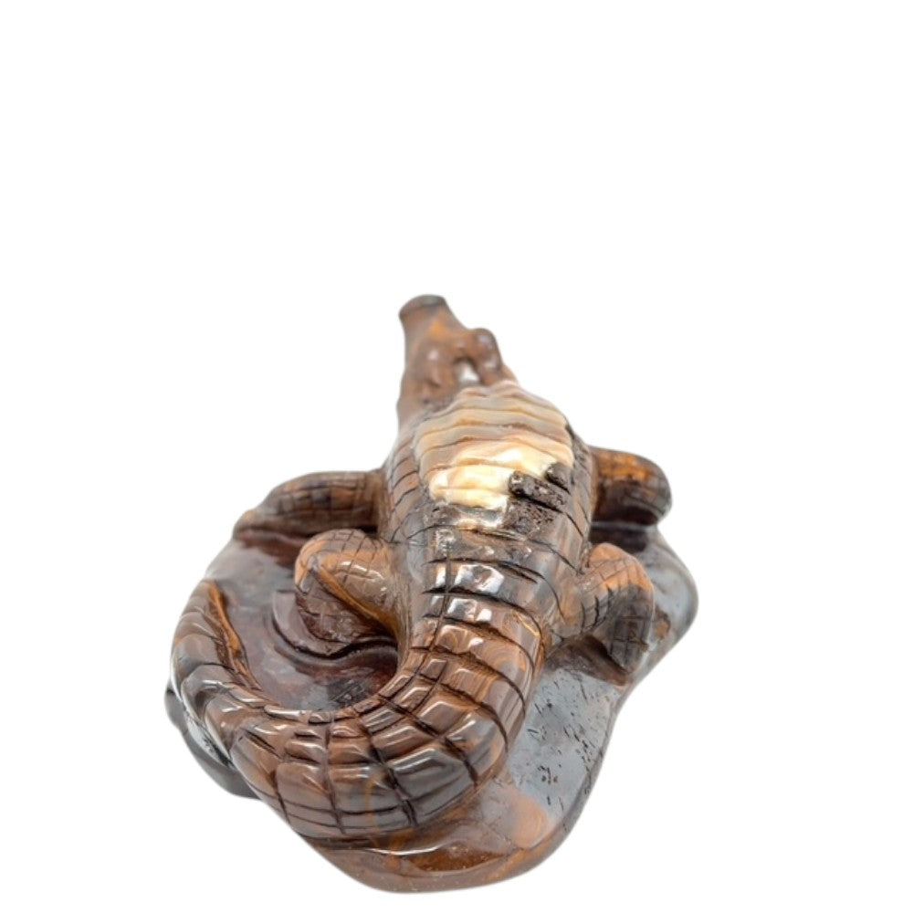 Boulder Opal Crocodile (crocodile)