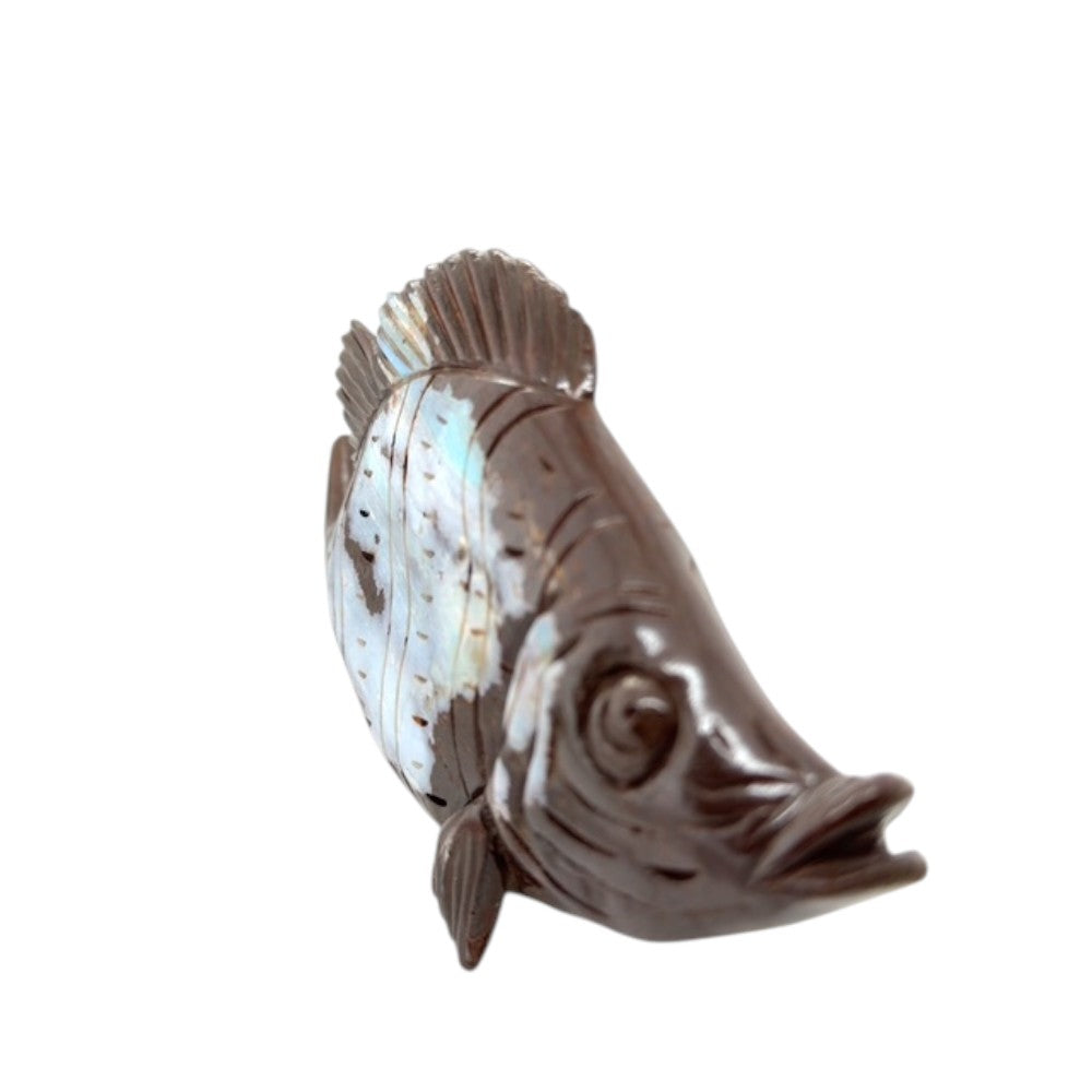 Boulder Opal Fish (fish)