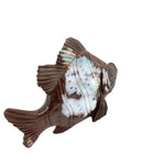 Boulder Opal Fish (fish)
