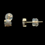 14ct Solid Opal Earrings (se818)