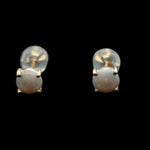 14ct Solid Opal Earrings (se818)