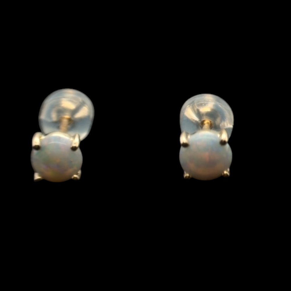 14ct Solid Opal Earrings (se818)