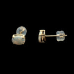 14ct Gold Solid Opal Earrings (se819)