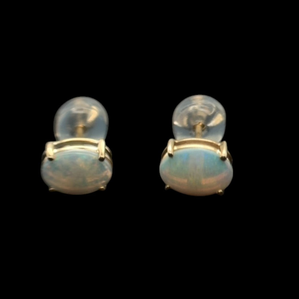 14ct Gold Solid Opal Earrings (se819)