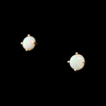 14ct Solid Opal Earrings (se818)