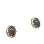 Gold Plated Triplet Opal Earrings (gpte128)