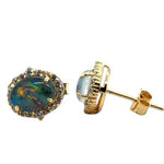 Gold Plated Triplet Opal Earrings (gpte128)