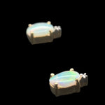 9ct Gold Solid Opal Earrings (se411)