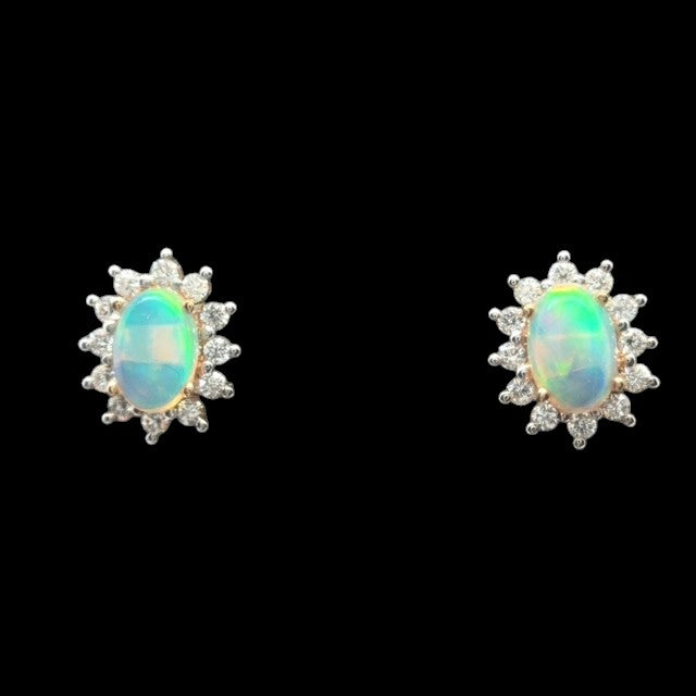 14ct Gold Solid Opal Earrings (se824)