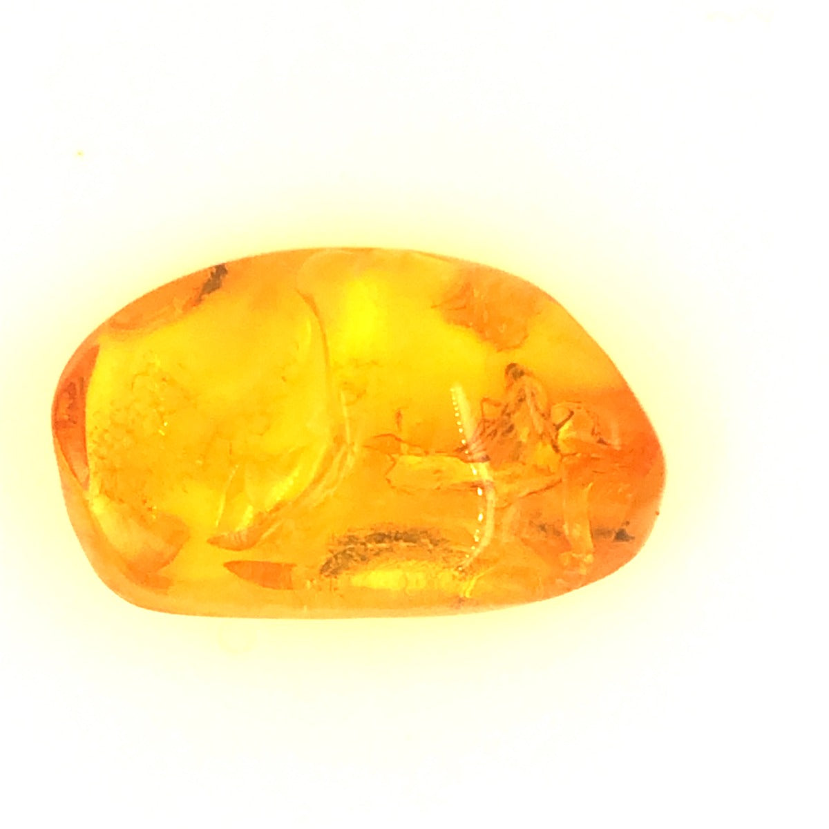 Amber from the Baltic with insects ( amb3)