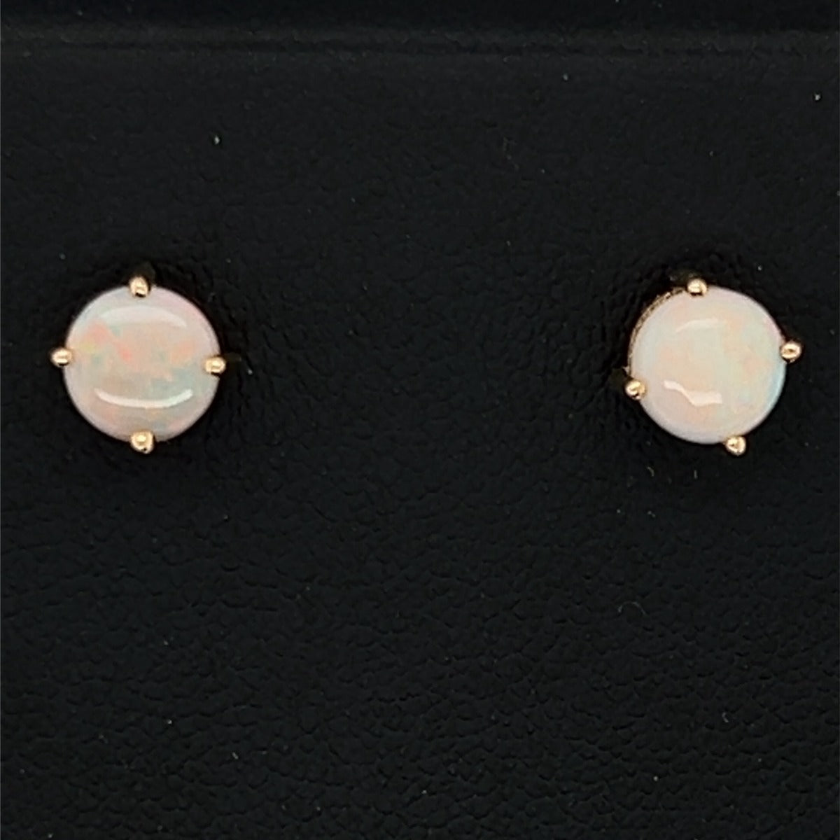 9ct Gold Solid Opal Earrings (sear1)