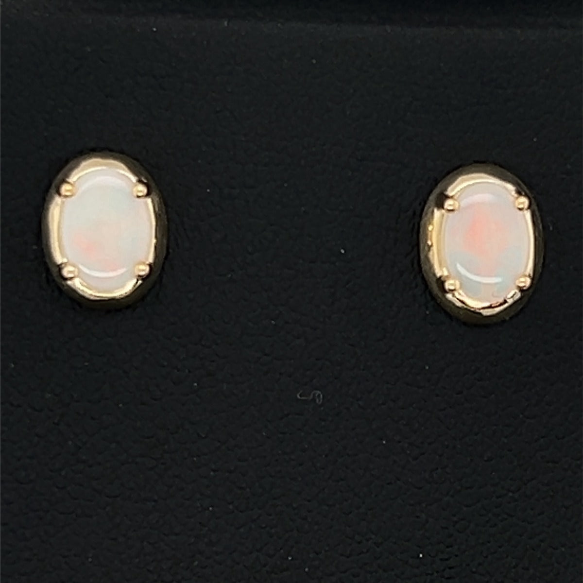 9ct Gold Solid Opal Earrings (sear3)