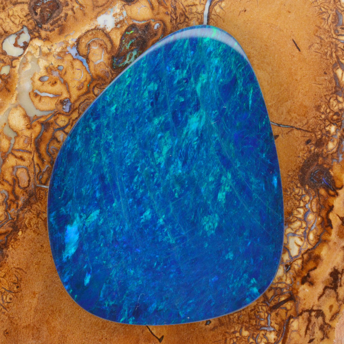 Loose Doublet Opal (17.5mm x 23mm)