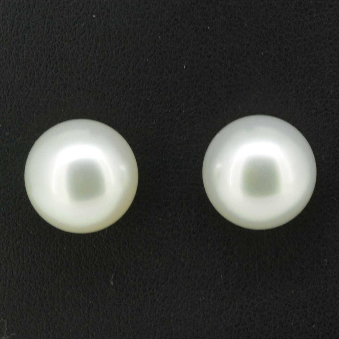 9ct yellow gold south sea pearl earrings