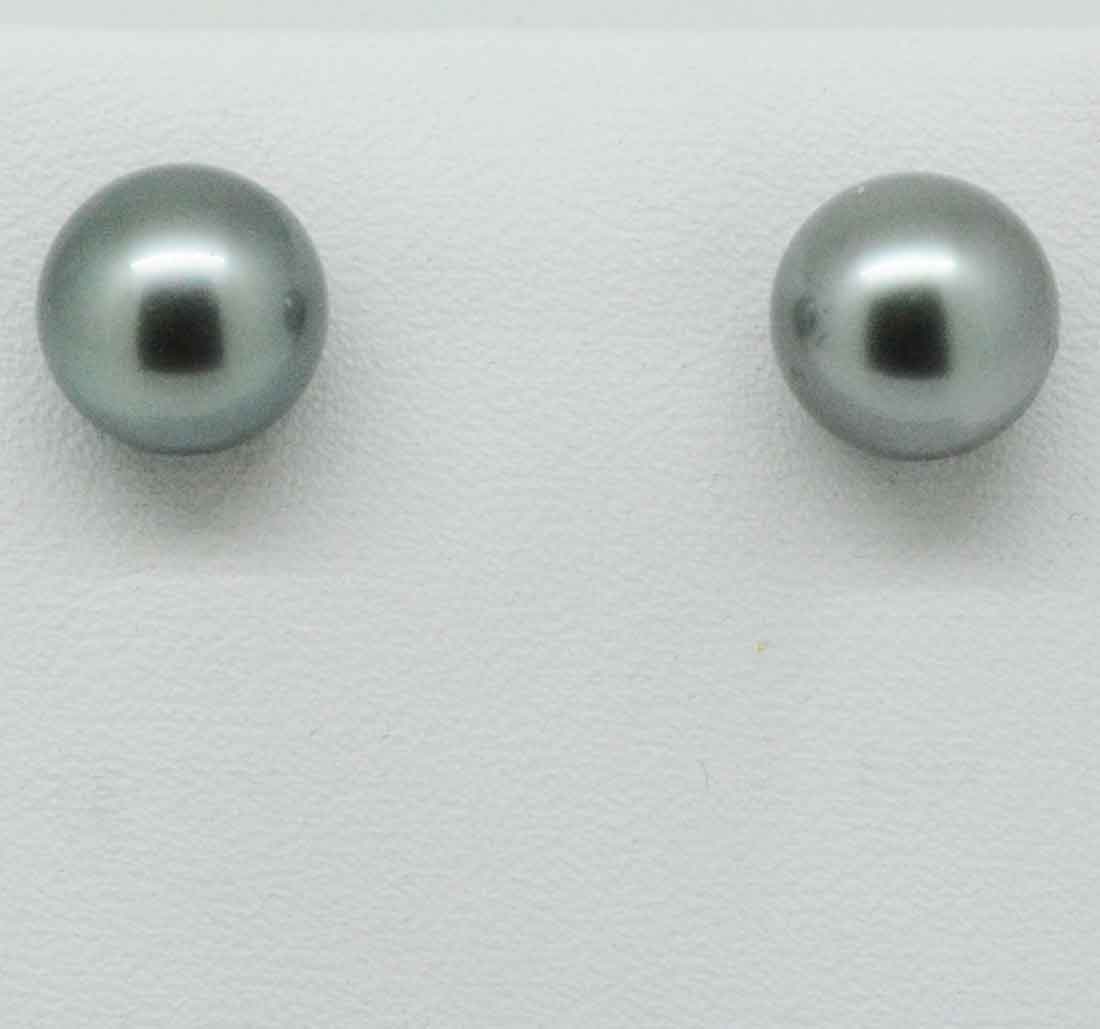 18ct yellow gold black Tahitian pearl stud earrings (pe6491)