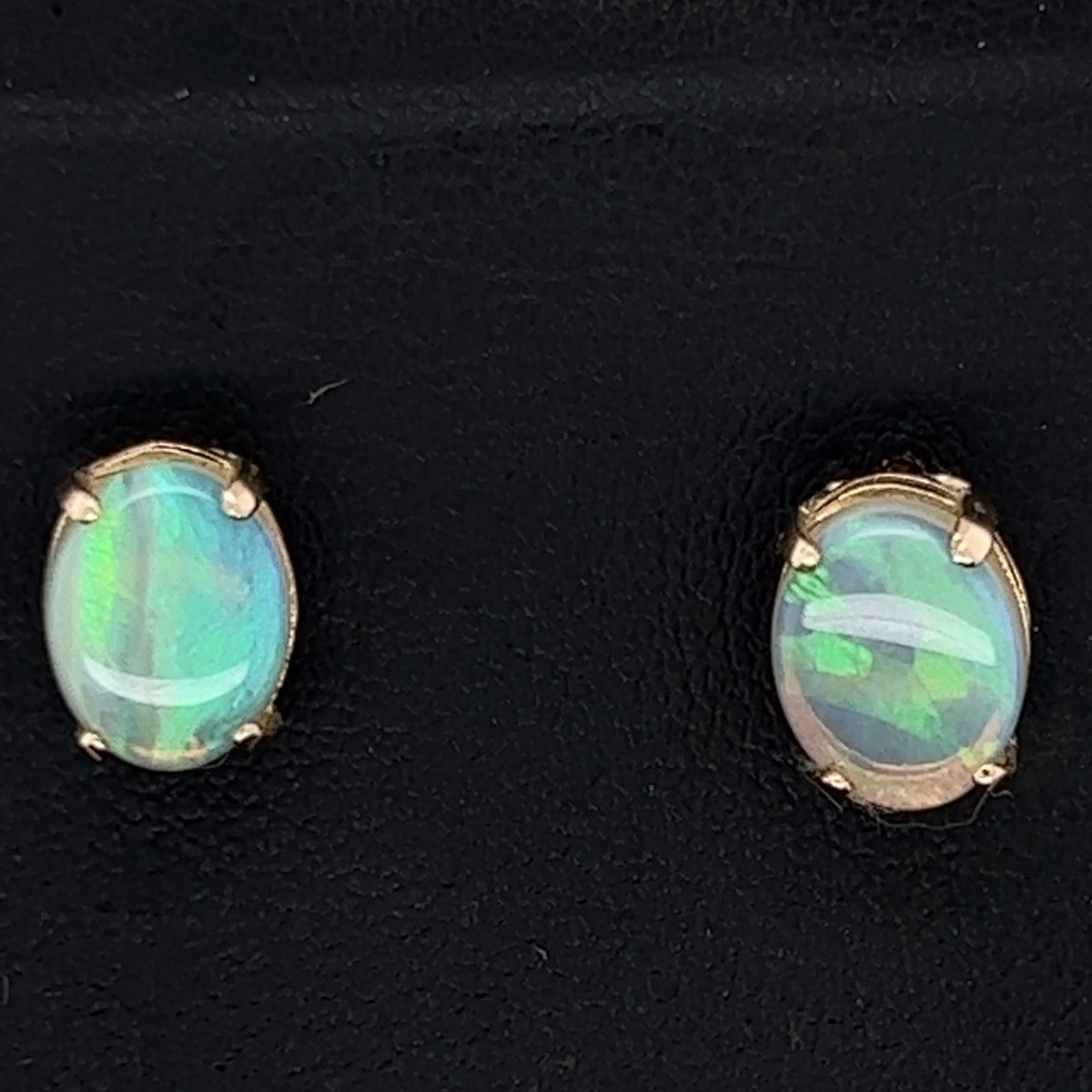 14ct Gold Solid Opal Earrings (se410)