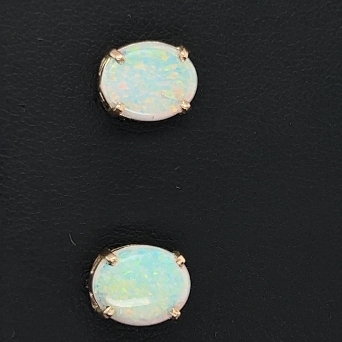 14ct Gold Solid Opal Earrings (se417)