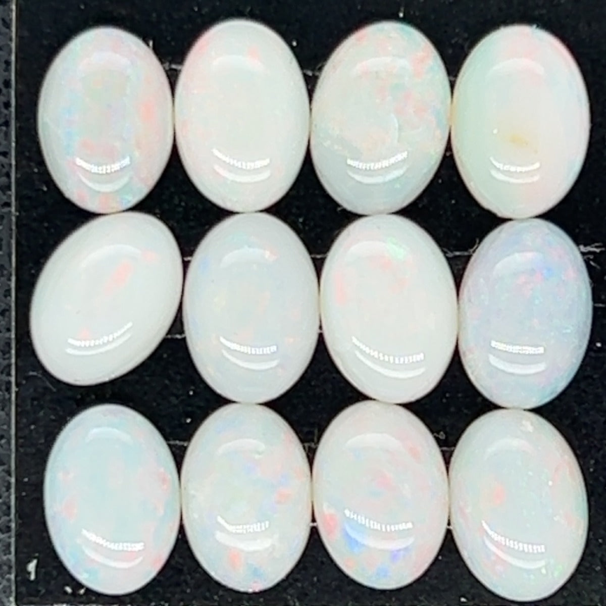 12 Solid Opals (so1212)