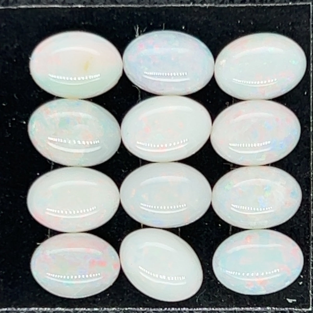 12 Solid Opals (so1212)