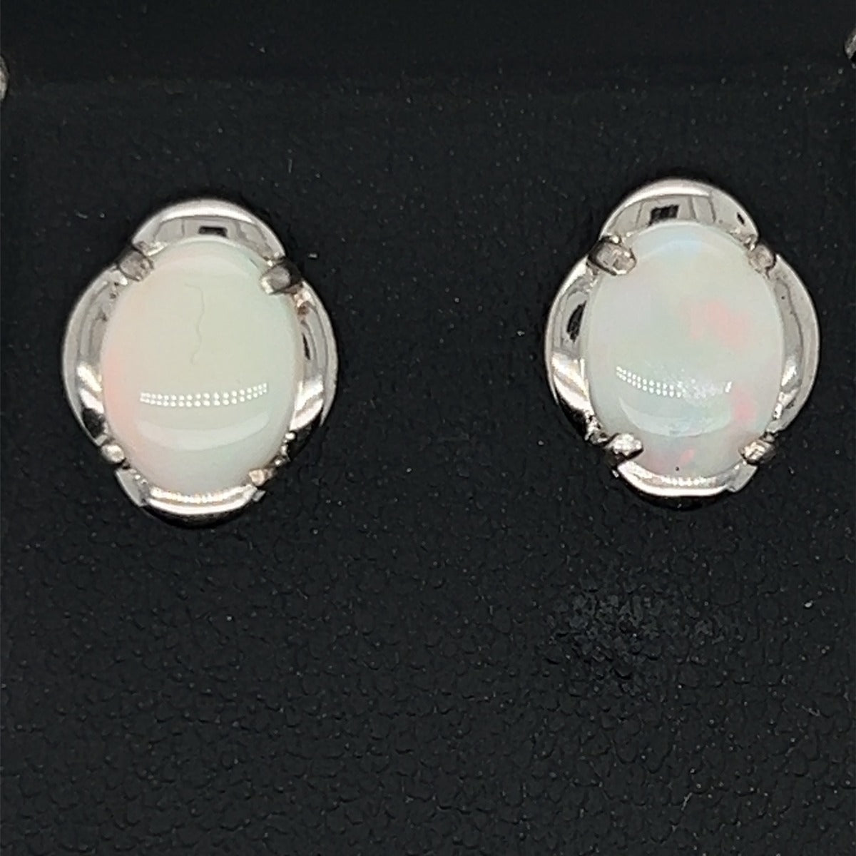 Sterling Silver Solid Opal Earrings (sse226)